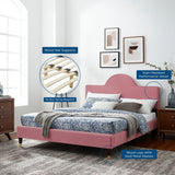 Sunrise Arch Performance Velvet Platform Bed with Gold Detail - Platform Bed available at Alpine Outlets in Denver