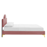 Sunrise Arch Performance Velvet Platform Bed with Gold Metal Legs - Platform Bed available at Alpine Outlets in Denver