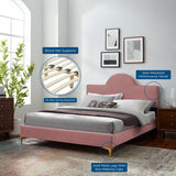 Sunrise Arch Performance Velvet Platform Bed with Gold Metal Legs - Platform Bed available at Alpine Outlets in Denver