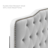 Tufted Nailhead Performance Velvet Platform Bed - Platform Bed available at Alpine Outlets in Denver