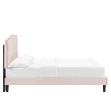 Tufted Nailhead Performance Velvet Platform Bed - Platform Bed available at Alpine Outlets in Denver