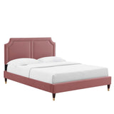 Upholstered Performance Velvet King Platform Bed with Gold Detail in Dusty Rose - Platform Bed available at Alpine Outlets in Denver