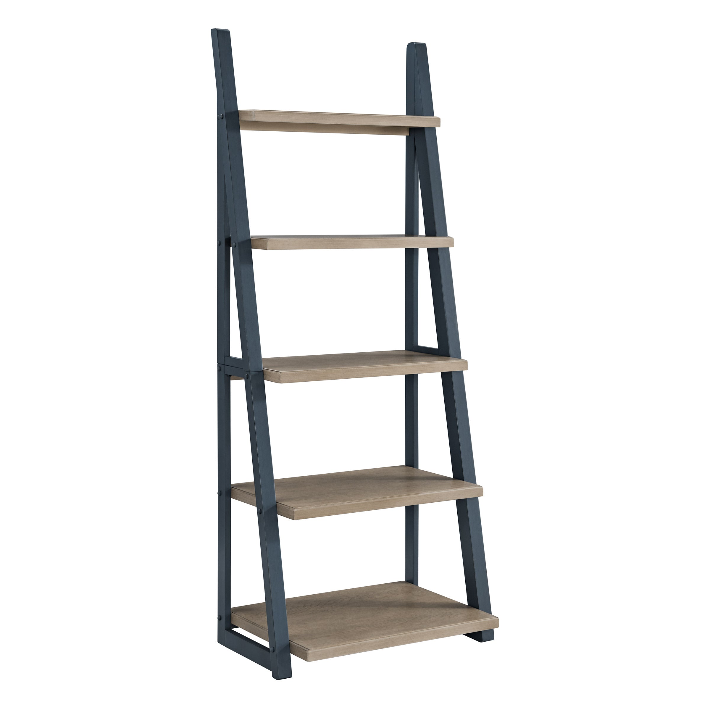 Fynn 72” Ladder Bookcase